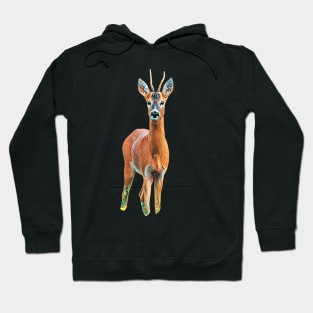 Roe Deer - Woodland Themed Kids Room, Funny Gifts For Forester, Cute Animals Hoodie